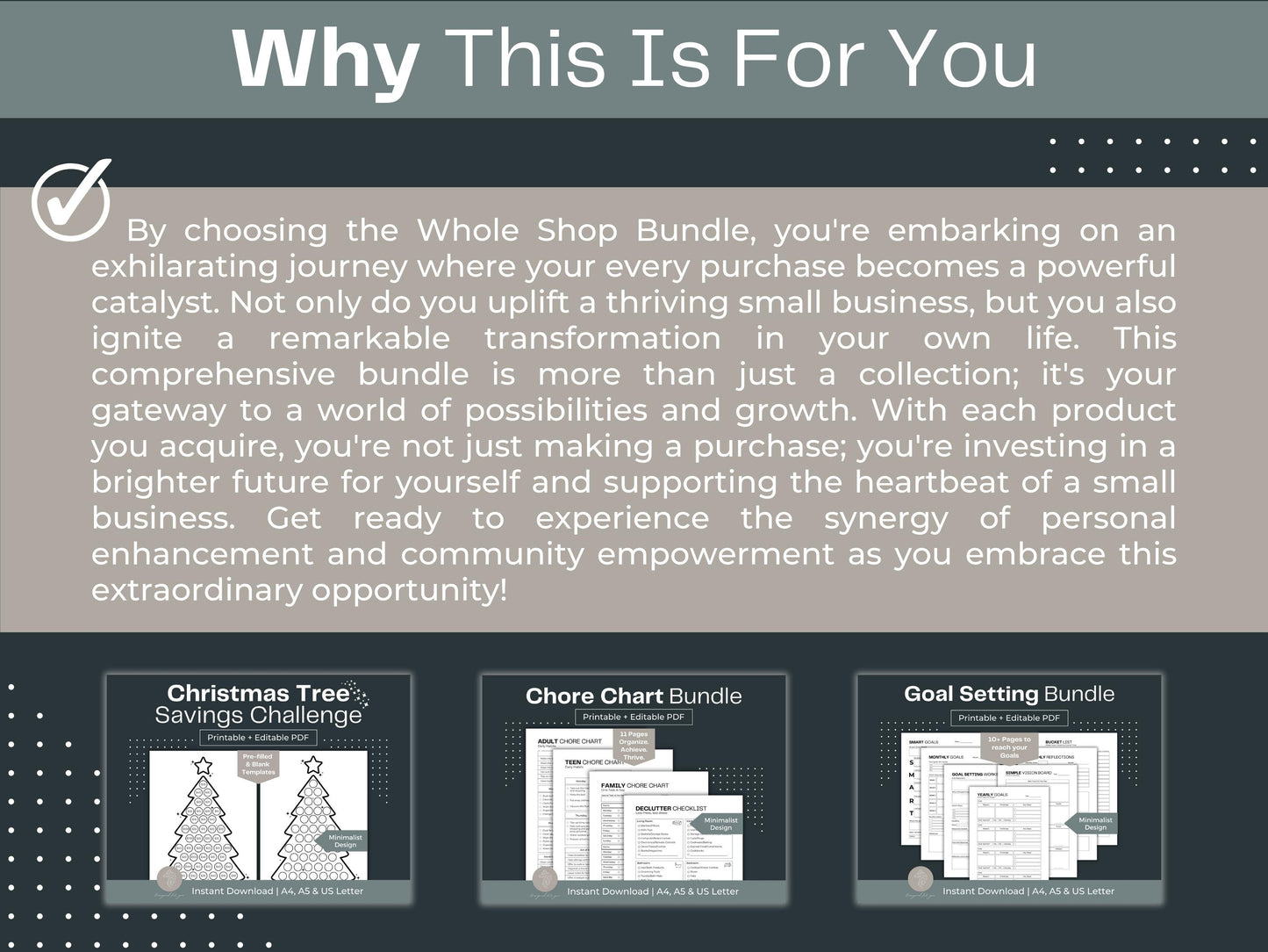 Whole Shop Bundle | Emergency Binder | Money Finance Planner
